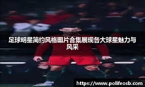 网球——ATP卡塔尔公开赛：卢布列夫获得冠军