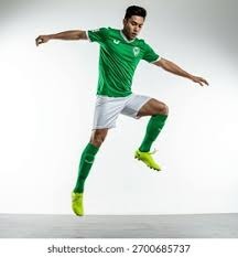 林益全赛季贡献评估